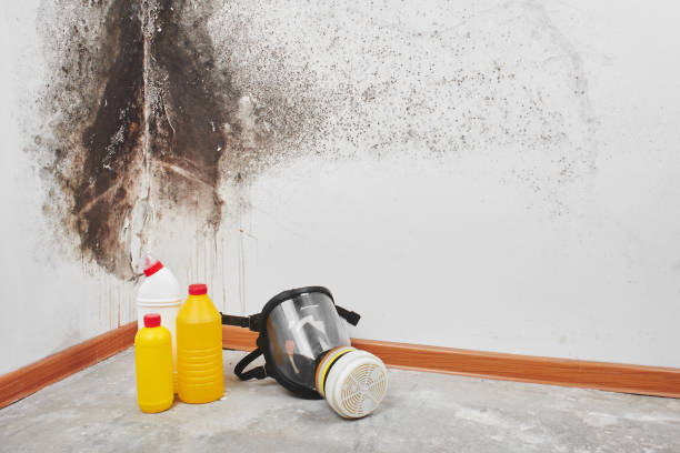 Best HVAC Mold Remediation in Cambridge City, IN